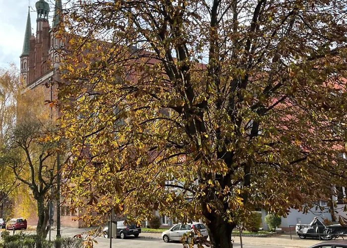 Apartament Przytulny W śródmieściu *