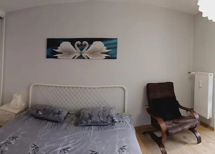 Przytulny W śródmieściu